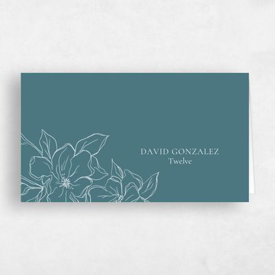 Teal, Blue Wedding Place Card - Ahlers