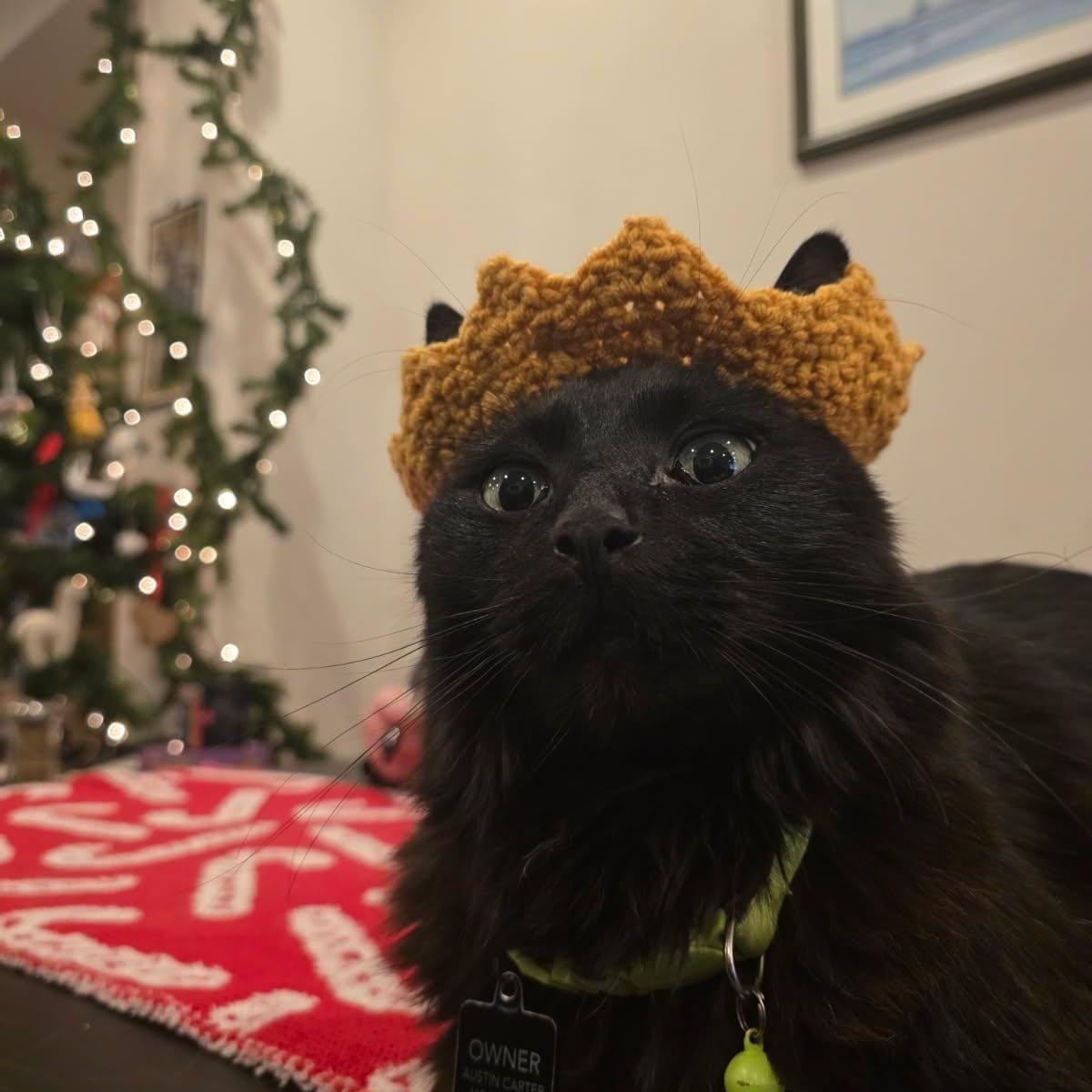 Tyson, our king (2025)