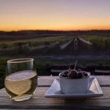 Bonobo Winery