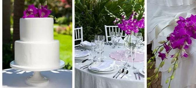 The Wedding Website of “LaDàna" Young and Cedric Young