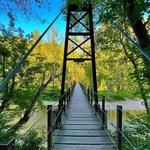 Patapsco Valley State Park - Hollofield Area