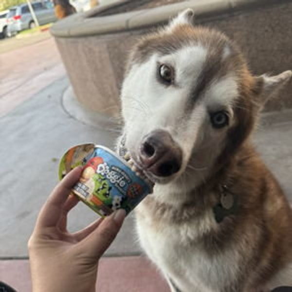 Samson Toy & Treat Fund