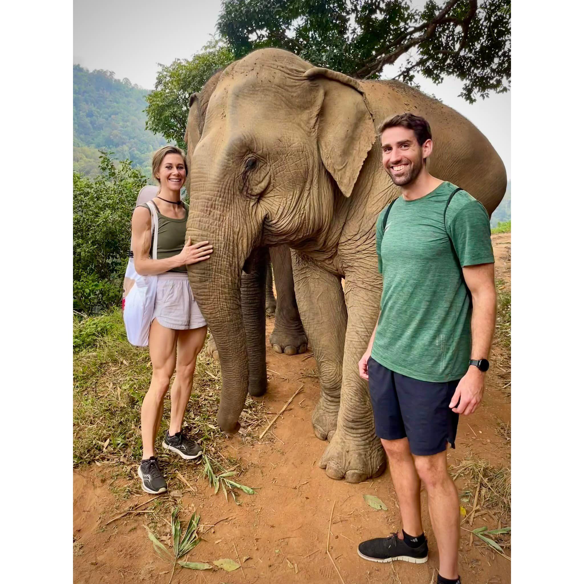 Elephant Sanctuary in Chiang Mai, Thailand. The day before our engagement!