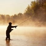 Gallatin River Guides