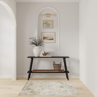 Astra Washable Area Rug