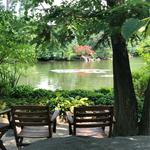 Anderson Japanese Gardens