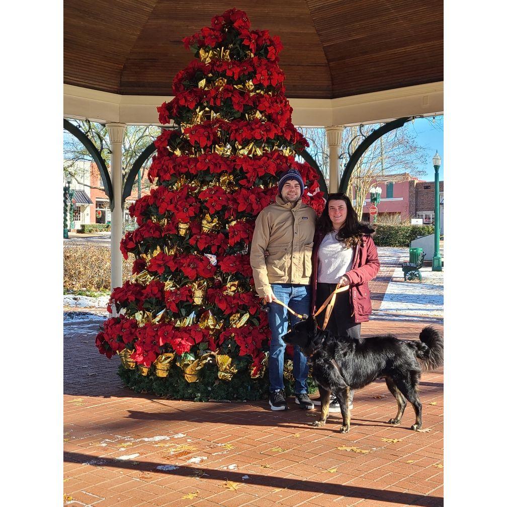 Hanging with Henry in Collierville, TN