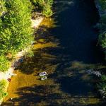 Float the Boise River