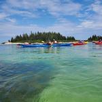Castine Kayak Adventures