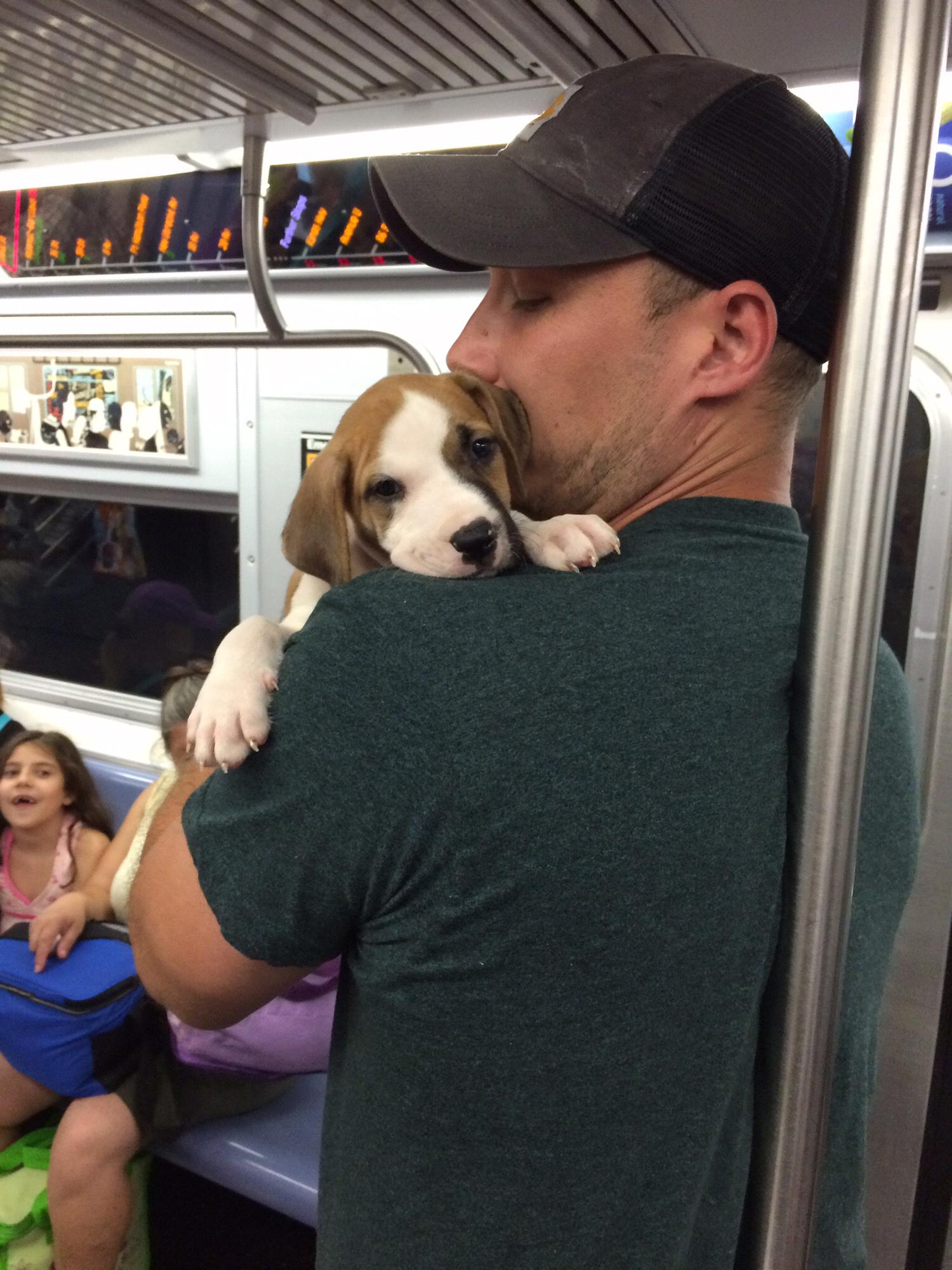 Kyle carrying Ali to his new home in Williamsburg the day he was adopted!