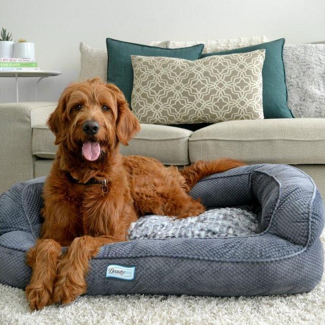 Beautyrest Colossal Rest Orthopedic Memory Foam Extra Large Bolster