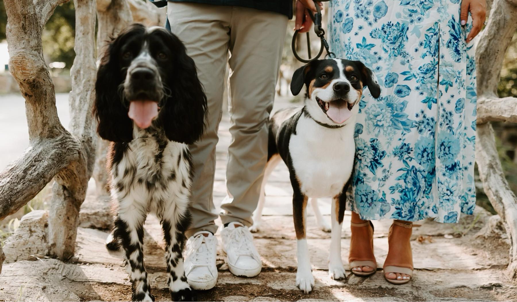 The Wedding Website of Melody Page and Andrew Page