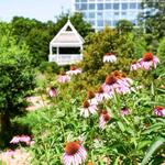 State Botanical Garden of Georgia