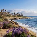 La Jolla Cove & Beach Walk
