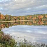 Oakley Corners State Forest