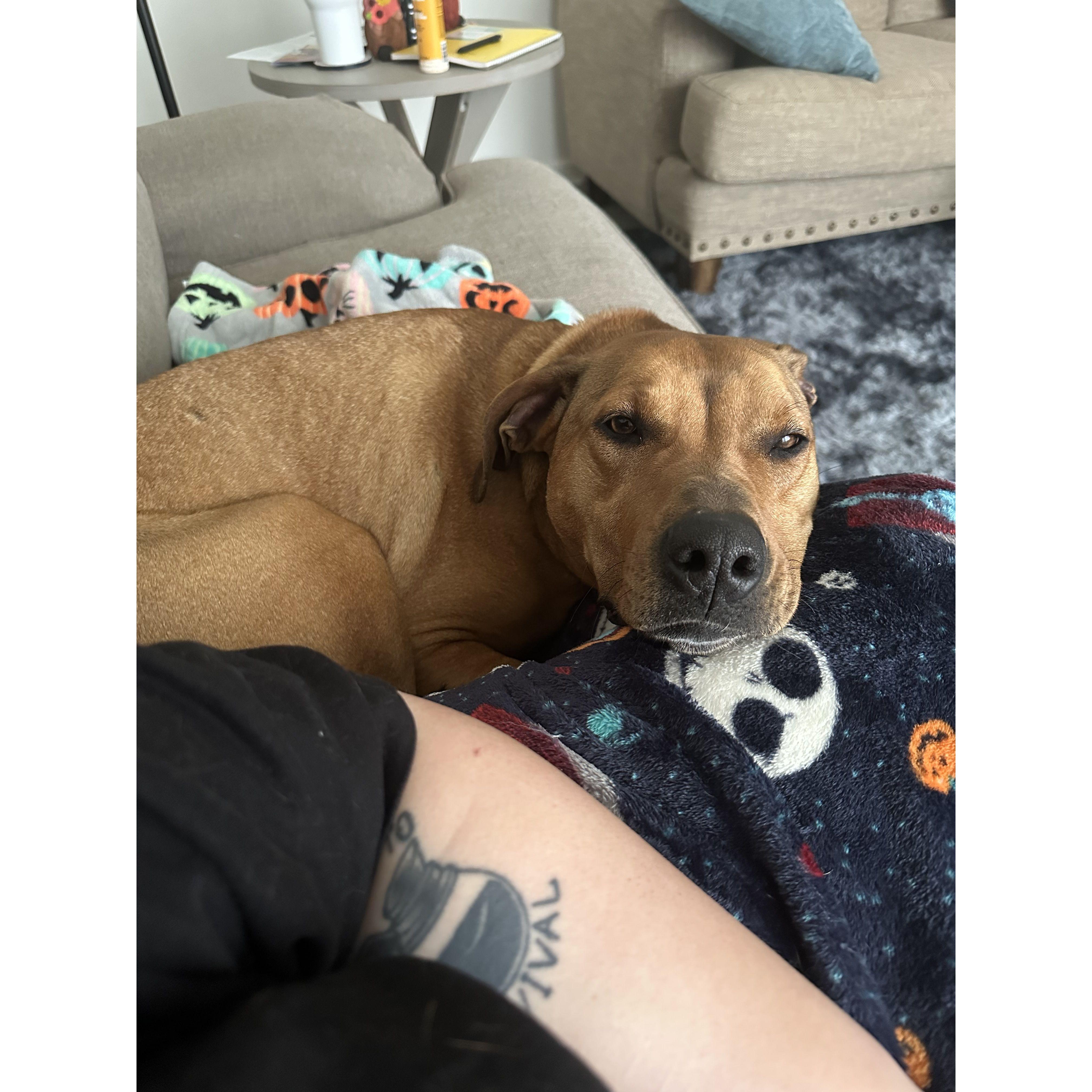 Fur baby #2