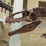Fernbank Museum