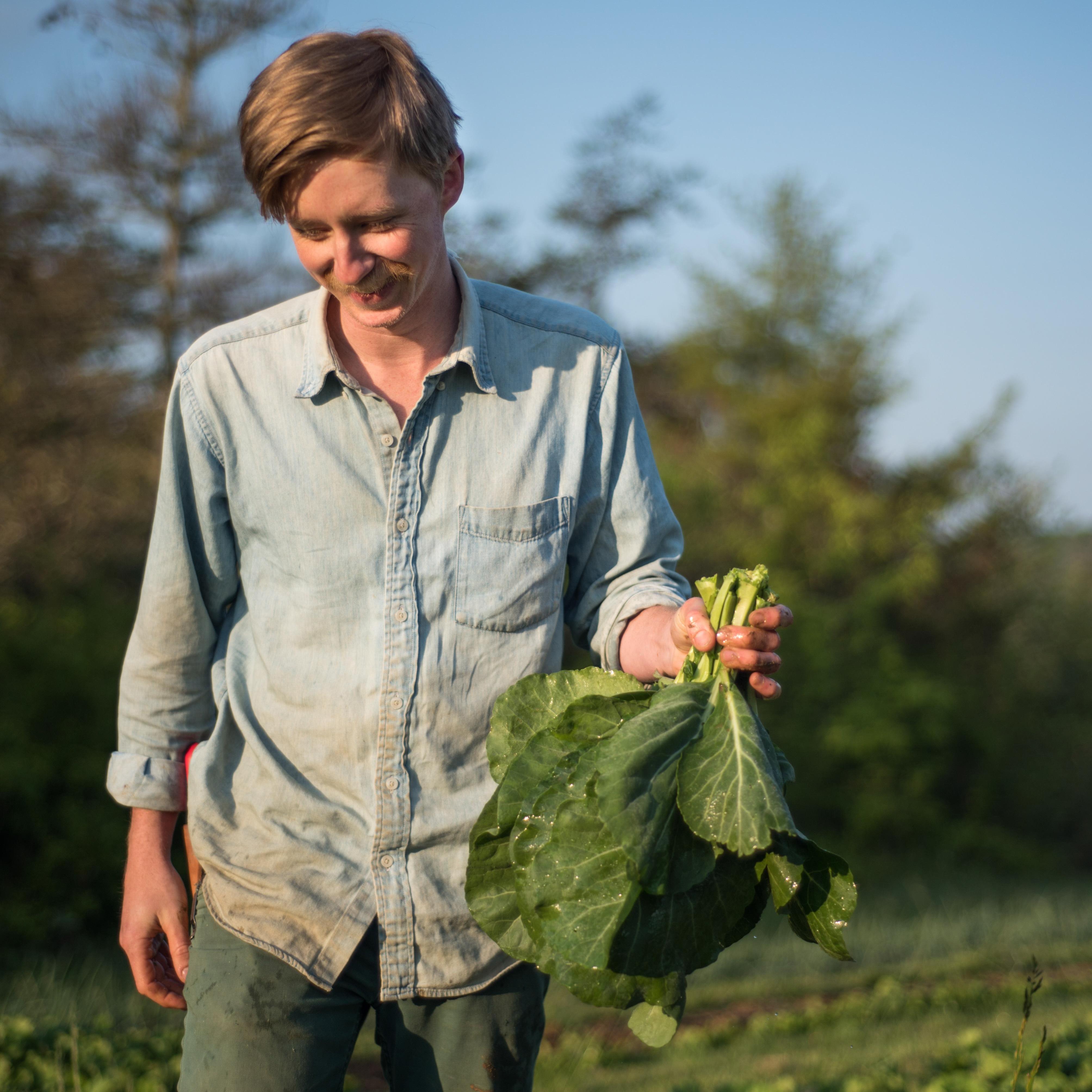 Price during the farm days