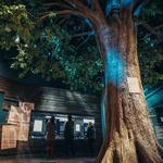 Museum of the American Revolution