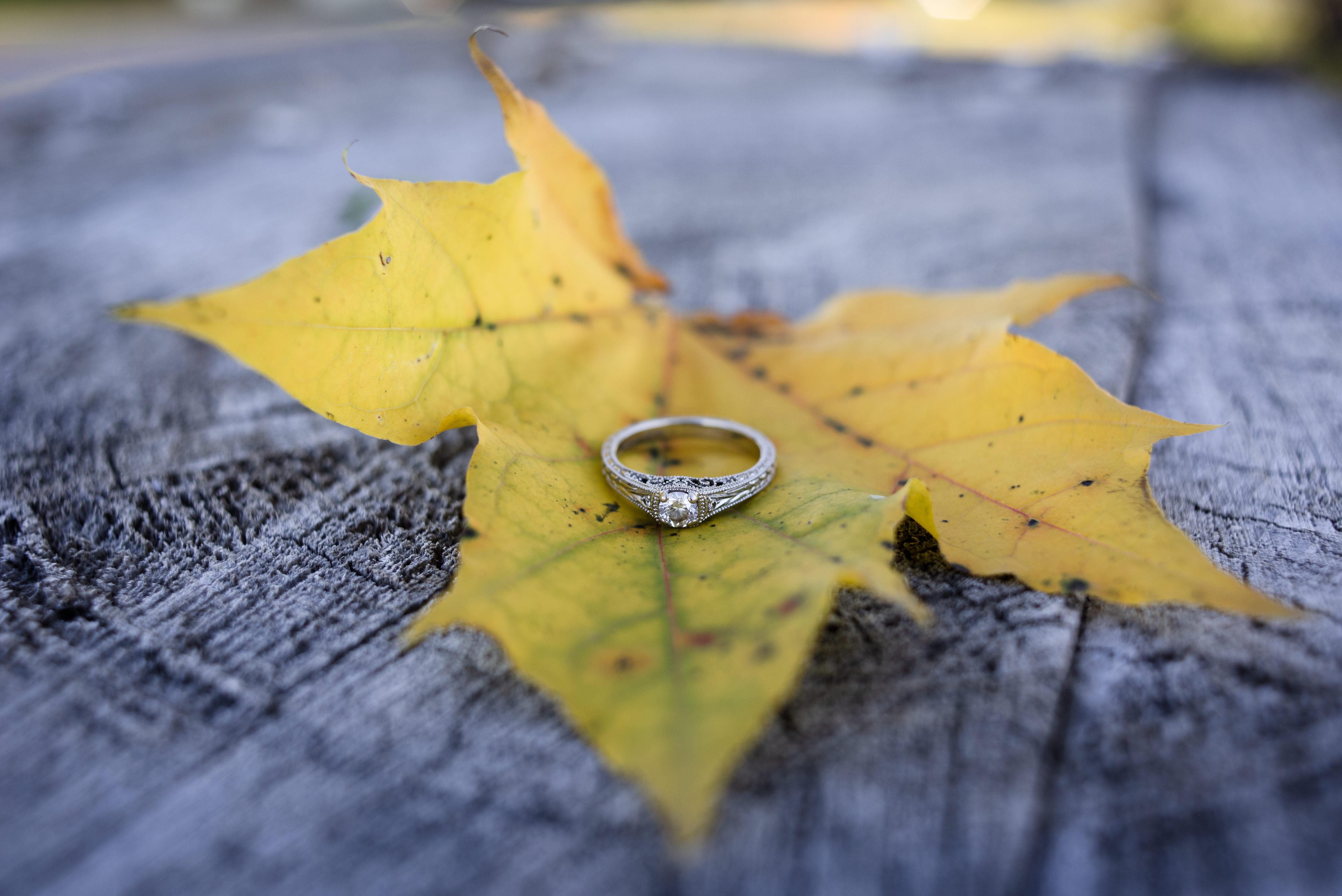 The Wedding Website of Megan Aprill and Drew Shannon