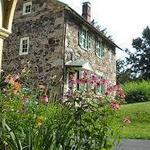 Tyler Arboretum