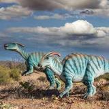 Arizona-Sonora Desert Museum