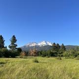 Mount Shasta
