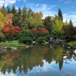 Washington Park Arboretum