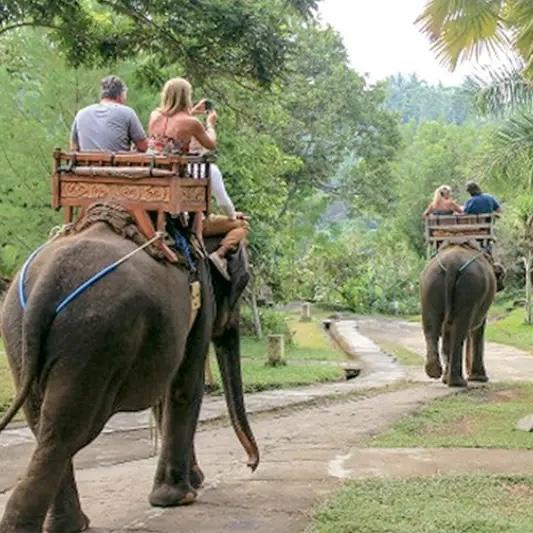 Ubud Elephant Ride