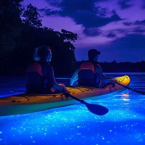 Bioluminescent Plankton Kayaking