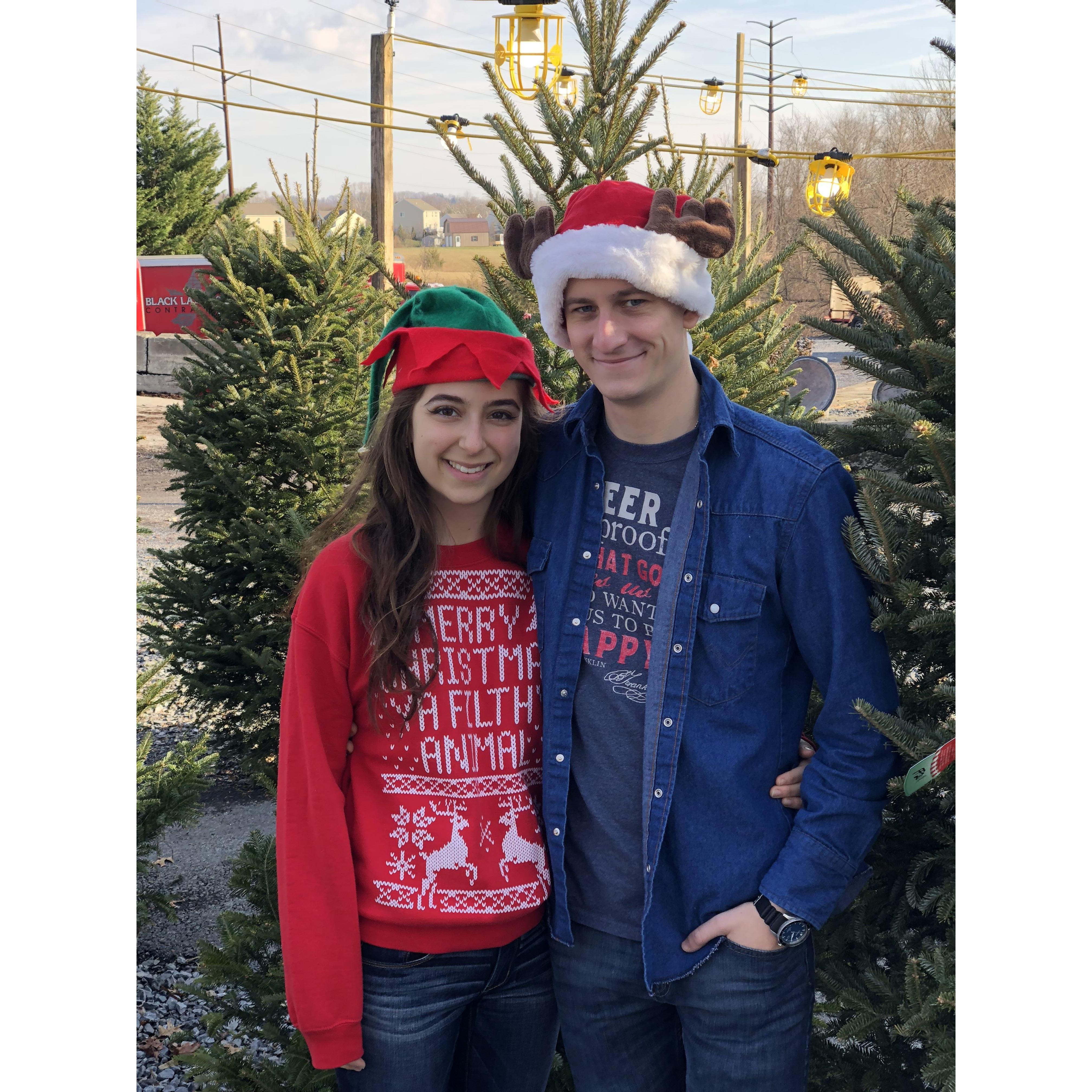 Christmas Tree shopping in PA.