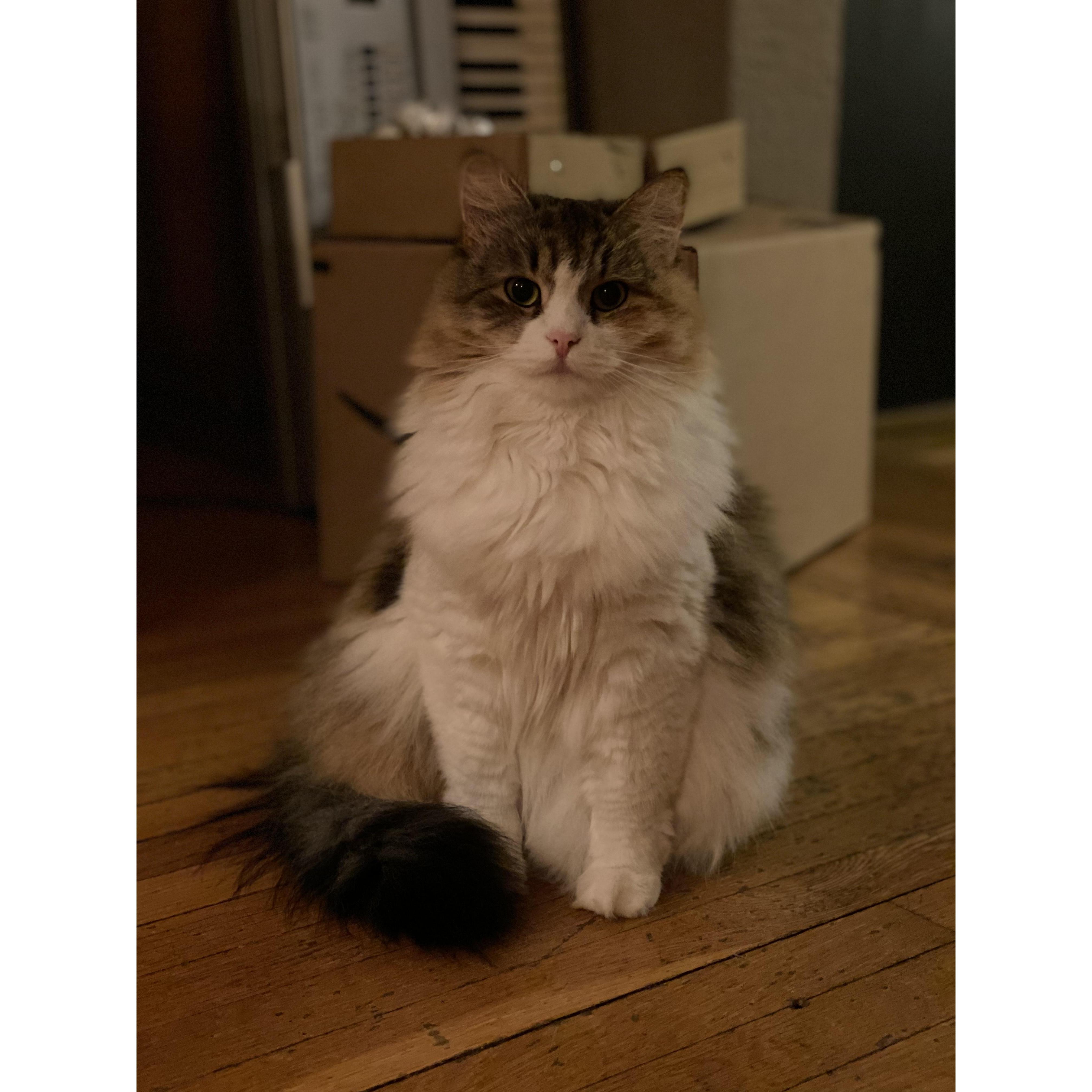 The best girl