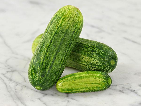 Dar Cucumber