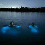 Bahía Bioluminiscente
