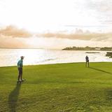 Golf & Night Golf