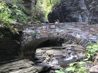 Watkins Glen