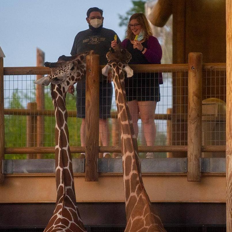 Feeding the giraffes at the Abilene Zoo and listening to the music of the Abilene Philharmonic