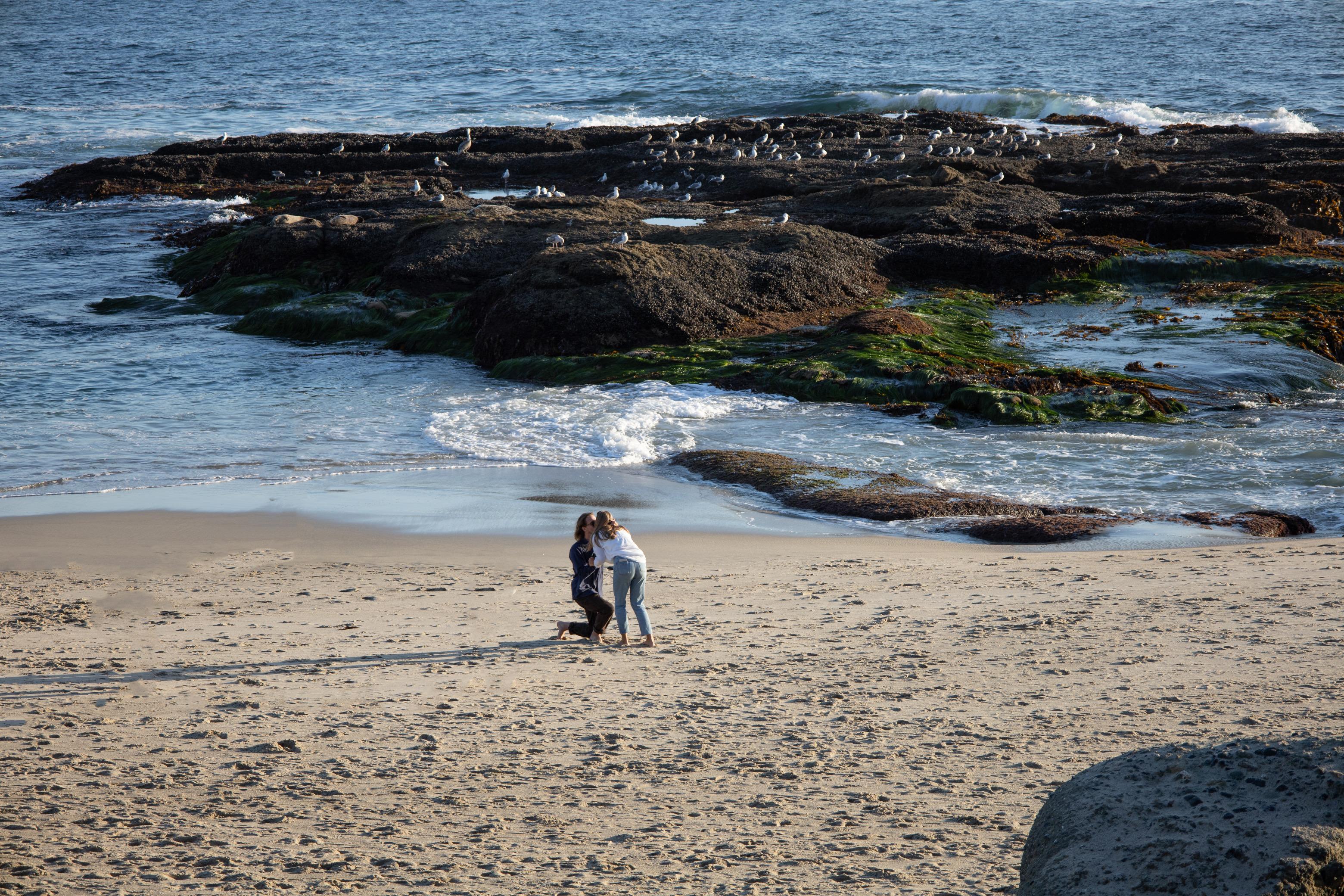 The Wedding Website of Chloe Wood and David Asperheim