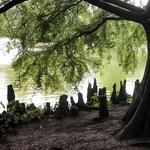 Antioch Park