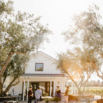 Biddle Ranch Vineyard