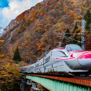 Lodging & Train Fund