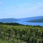 Keuka Lake Wine Trail