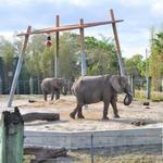ZooTampa at Lowry Park
