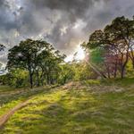Bidwell Park