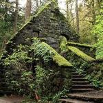Forest Park
