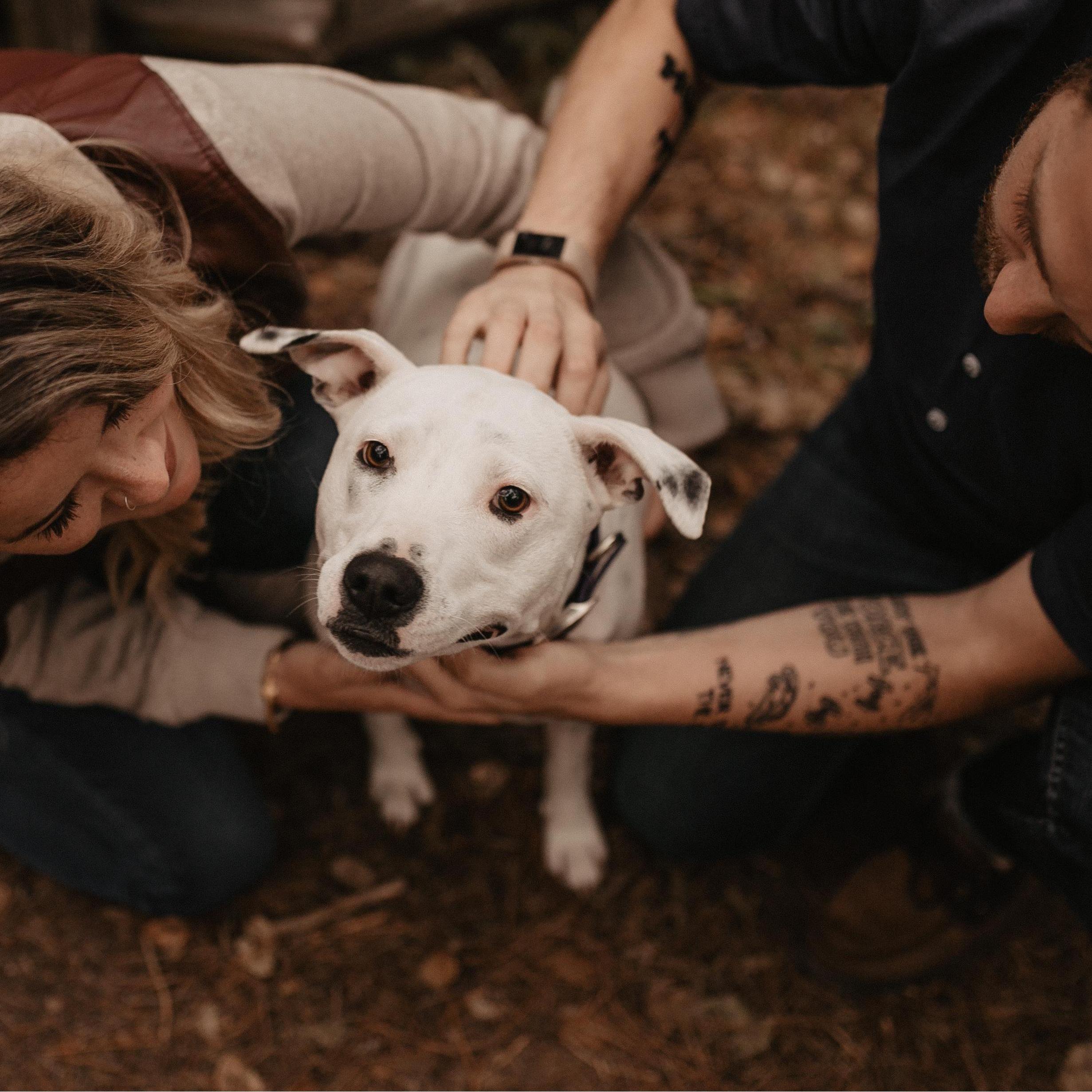 With our favorite little girl, Roo. Point Lobos State Reserve, Carmel by the Sea, CA. May 2019.