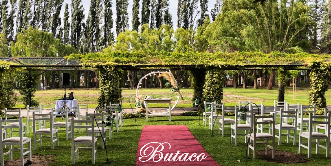The Wedding Website of Alexia Suca de Azevedo and Roberto Damian Paredes