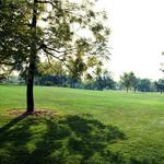 City Park