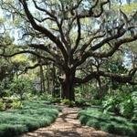 Washington Oaks Gardens State Park
