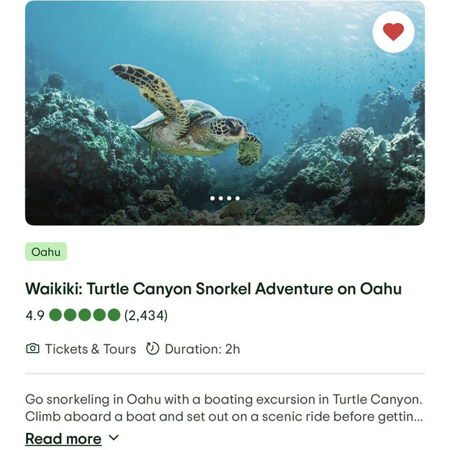 Turtle Canyon Snorkel